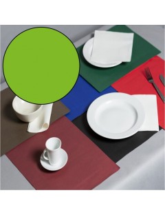 Mantel TNT 40x30 cm. 50 g....